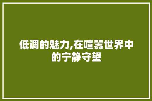 低调的魅力,在喧嚣世界中的宁静守望 写作社区