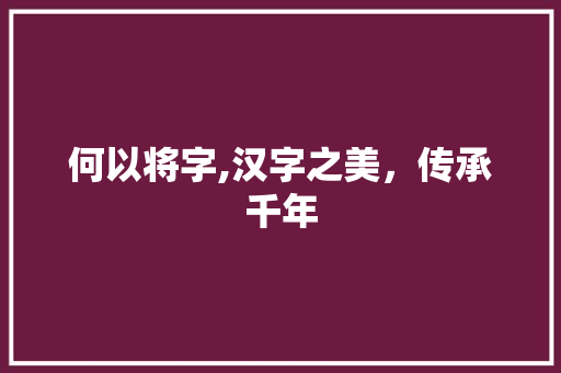 何以将字,汉字之美，传承千年