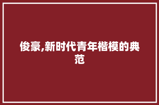 俊豪,新时代青年楷模的典范