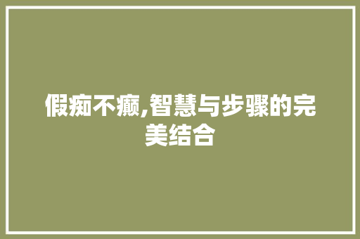 假痴不癫,智慧与步骤的完美结合