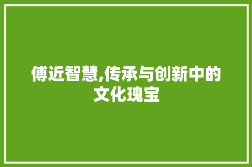 傅近智慧,传承与创新中的文化瑰宝