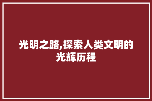光明之路,探索人类文明的光辉历程
