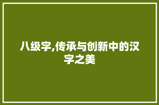 八级字,传承与创新中的汉字之美