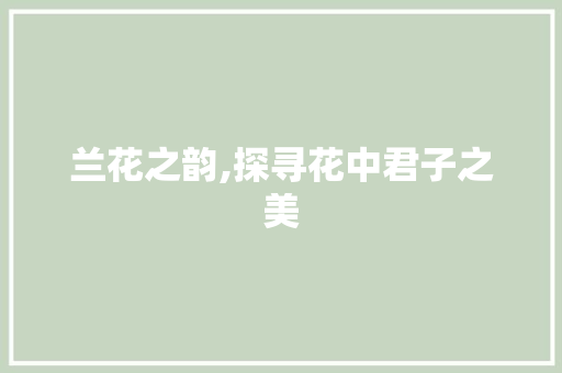 兰花之韵,探寻花中君子之美