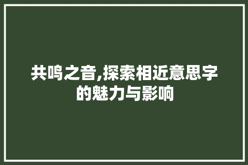 共鸣之音,探索相近意思字的魅力与影响