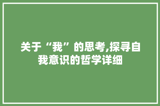 关于“我”的思考,探寻自我意识的哲学详细
