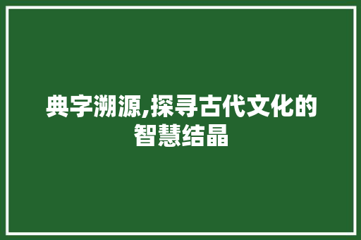 典字溯源,探寻古代文化的智慧结晶