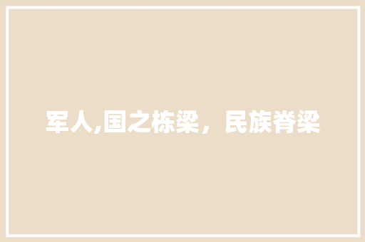 军人,国之栋梁，民族脊梁
