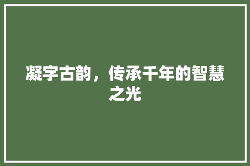 凝字古韵，传承千年的智慧之光 写作社区