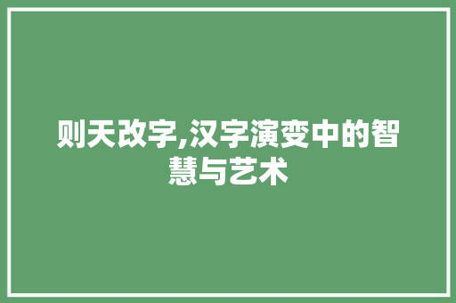 则天改字,汉字演变中的智慧与艺术