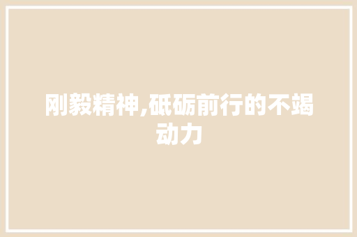 刚毅精神,砥砺前行的不竭动力
