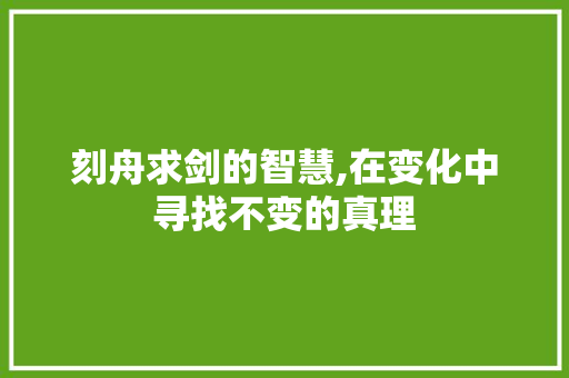 刻舟求剑的智慧,在变化中寻找不变的真理