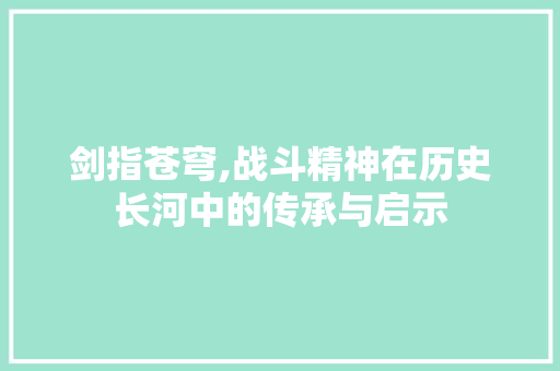 剑指苍穹,战斗精神在历史长河中的传承与启示
