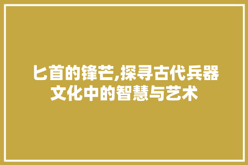 匕首的锋芒,探寻古代兵器文化中的智慧与艺术