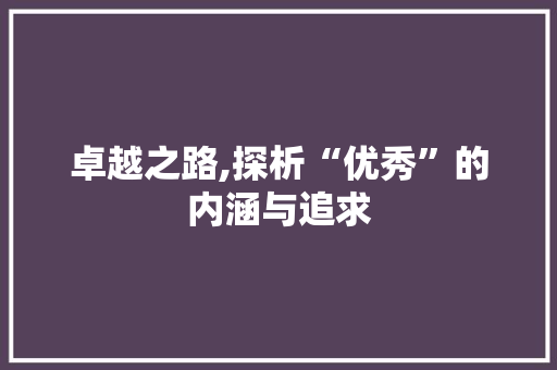 卓越之路,探析“优秀”的内涵与追求