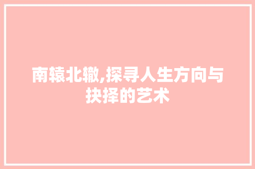 南辕北辙,探寻人生方向与抉择的艺术