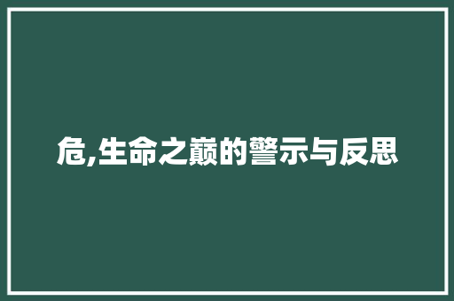 危,生命之巅的警示与反思
