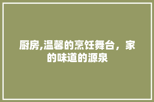 厨房,温馨的烹饪舞台，家的味道的源泉