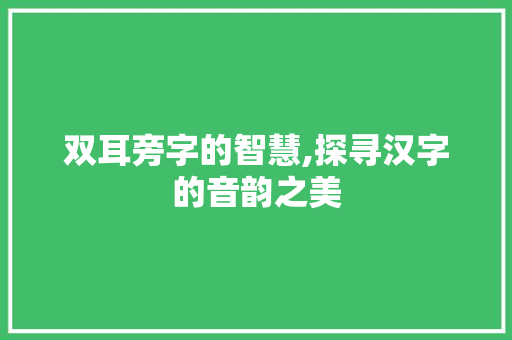 双耳旁字的智慧,探寻汉字的音韵之美