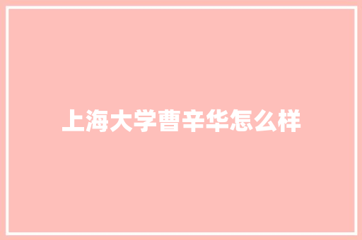 上海大学曹辛华怎么样