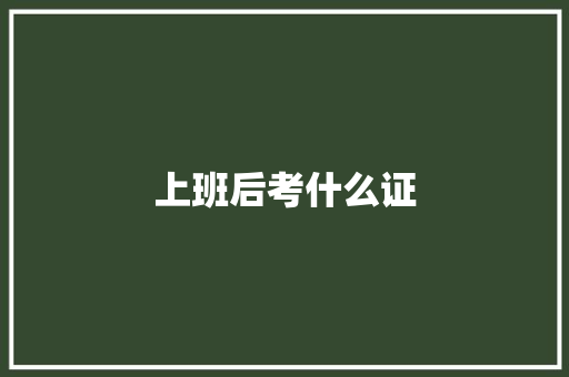 上班后考什么证