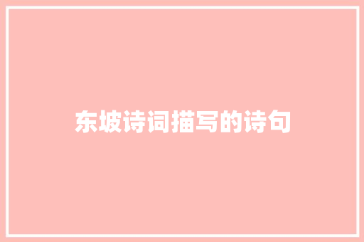 东坡诗词描写的诗句