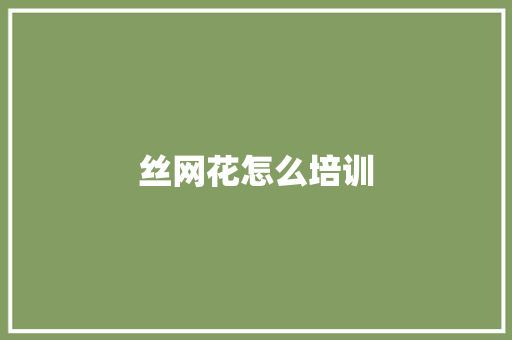 丝网花怎么培训