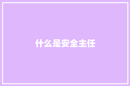 什么是安全主任