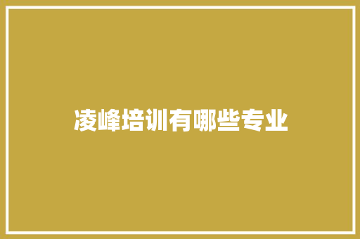 凌峰培训有哪些专业