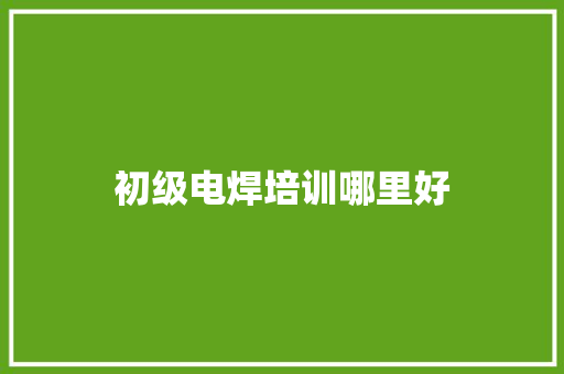 初级电焊培训哪里好
