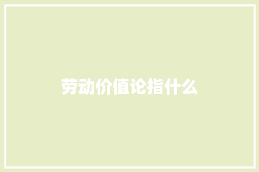 劳动价值论指什么