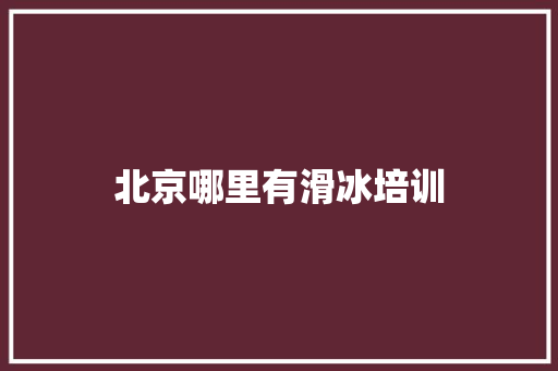 北京哪里有滑冰培训