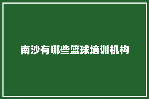 南沙有哪些篮球培训机构