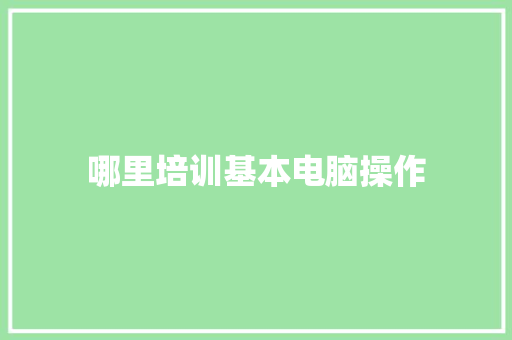 哪里培训基本电脑操作
