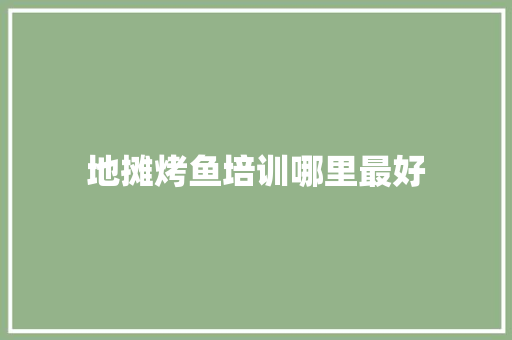 地摊烤鱼培训哪里最好