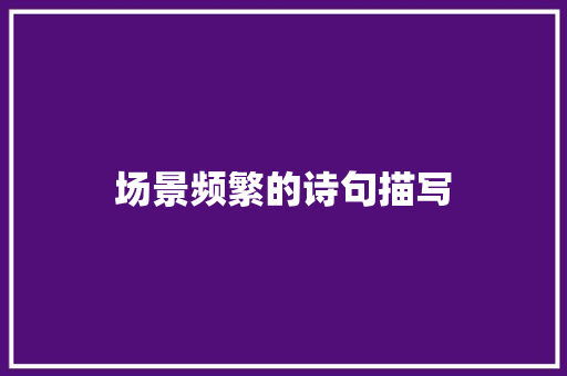 场景频繁的诗句描写