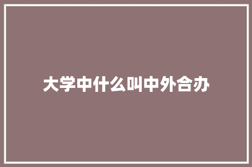 大学中什么叫中外合办