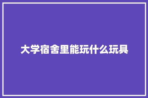 大学宿舍里能玩什么玩具