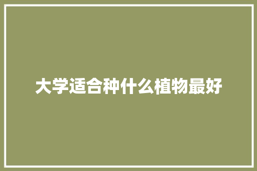 大学适合种什么植物最好