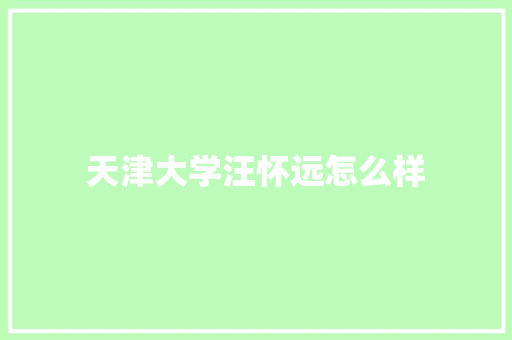 天津大学汪怀远怎么样