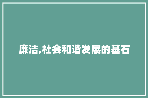 廉洁,社会和谐发展的基石 范文赏析