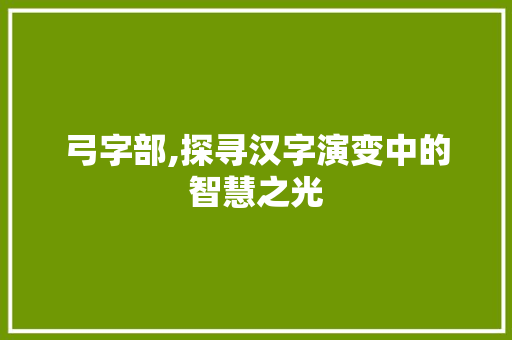 弓字部,探寻汉字演变中的智慧之光