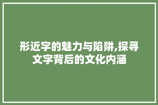 形近字的魅力与陷阱,探寻文字背后的文化内涵