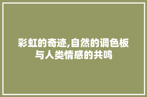 彩虹的奇迹,自然的调色板与人类情感的共鸣
