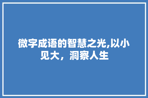 微字成语的智慧之光,以小见大，洞察人生