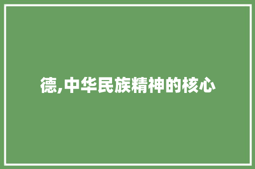 德,中华民族精神的核心