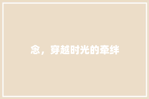 念，穿越时光的牵绊