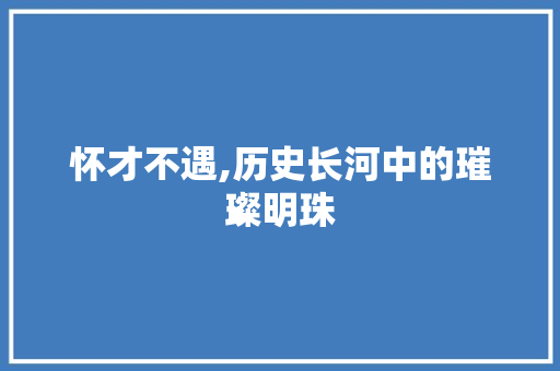 怀才不遇,历史长河中的璀璨明珠 词汇积累