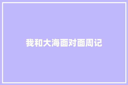 我和大海面对面周记 词汇积累