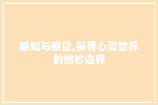 感知与感觉,探寻心灵世界的微妙边界